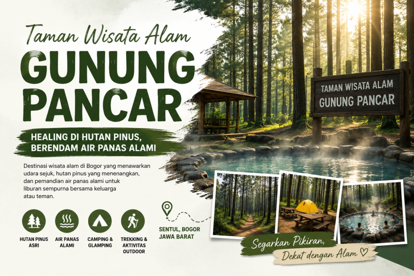 Pemandangan Taman Wisata Alam Gunung Pancar di Bogor dengan hutan pinus yang asri, pemandian air panas alami, area camping, dan suasana sejuk untuk healing.